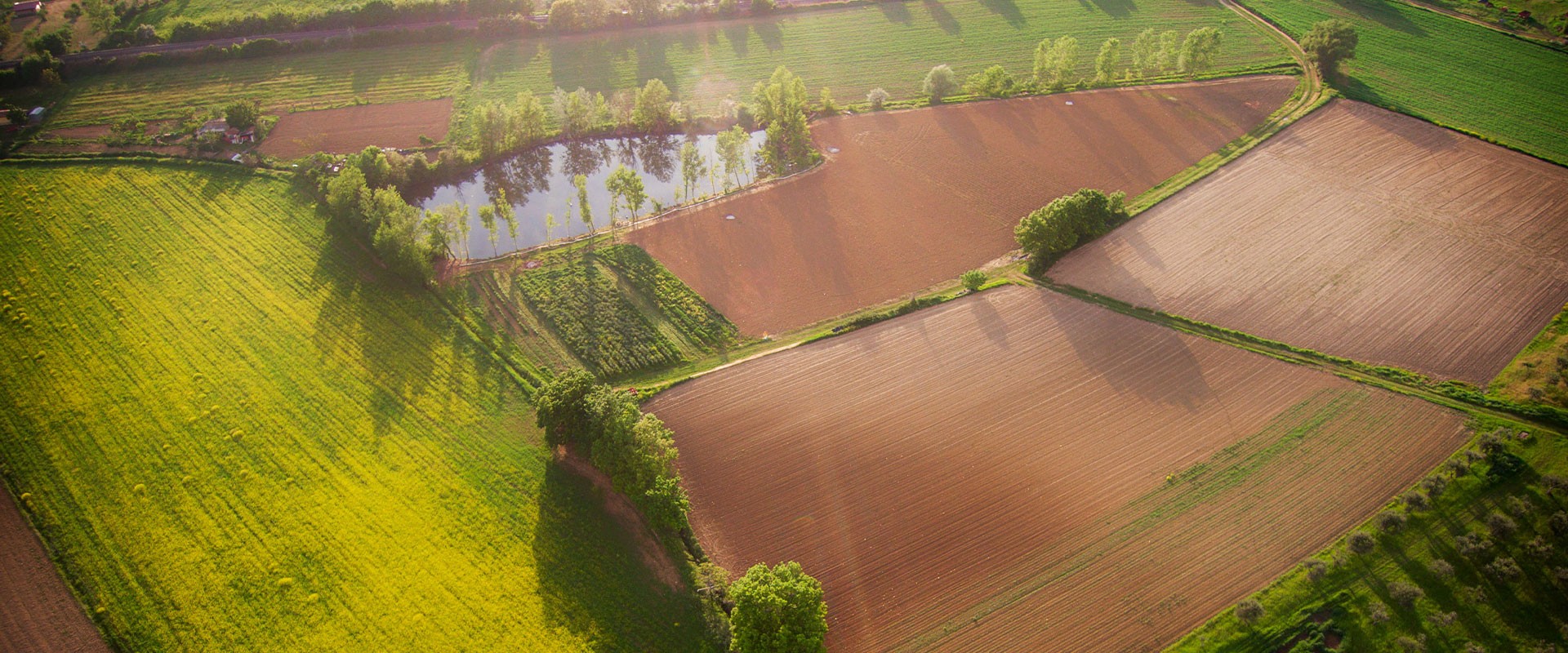 Podere Pereto